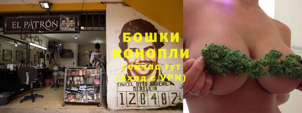 сатива Абдулино