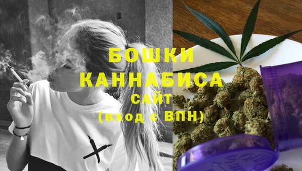 сатива Абдулино